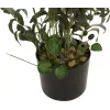 EUROPALMS Olivo artificial, 104 cm 82506423