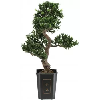 EUROPALMS Bonsái Podocarpus planta artificial, 80 cm 82600116