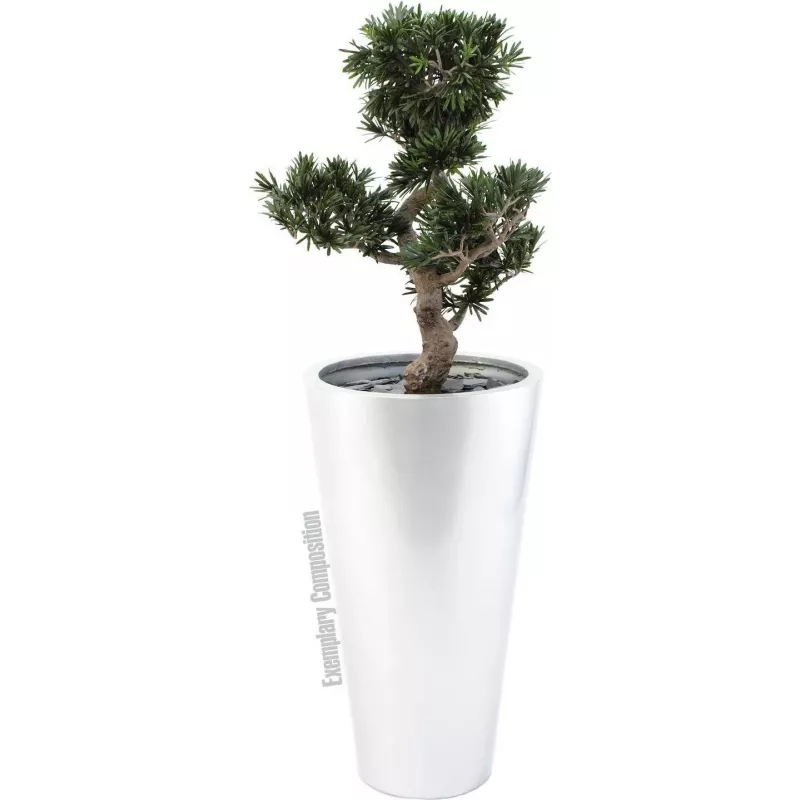 EUROPALMS Bonsái Podocarpus planta artificial, 80 cm 82600116