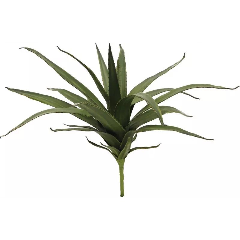 EUROPALMS Aloe (EVA), artificial, verde, 50 cm (82530570)