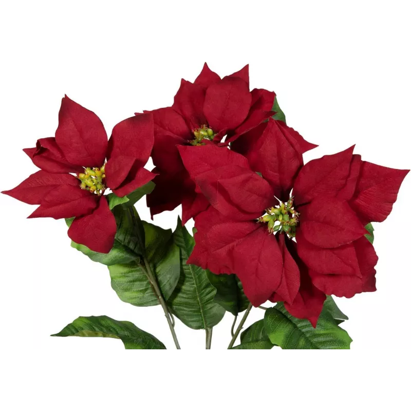 EUROPALMS Arbusto de estrella de Navidad artificial, rojo, 50 cm 83500439