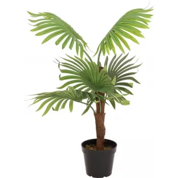 EUROPALMS Palmera de abanico planta artificial, 88 cm, verde, maceta negra 82509301