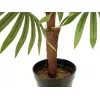 EUROPALMS Palmera de abanico planta artificial, 88 cm, verde, maceta negra 82509301