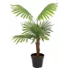 EUROPALMS Palmera de abanico planta artificial, 88 cm, verde, maceta negra 82509301