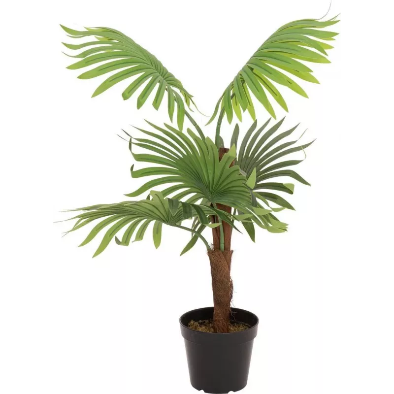 EUROPALMS Palmera de abanico planta artificial, 88 cm, verde, maceta negra 82509301