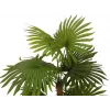 EUROPALMS Palmera de abanico planta artificial 130 cm 82509302