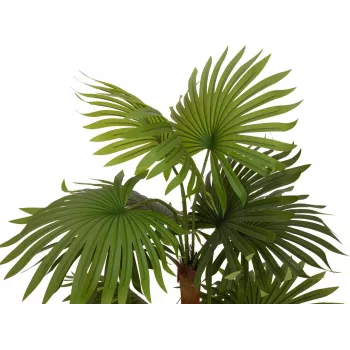 EUROPALMS Palmera de abanico planta artificial 130 cm 82509302