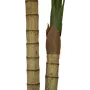 EUROPALMS Palmera areca, de 2 troncos, planta artificial, 120 cm (82509410)