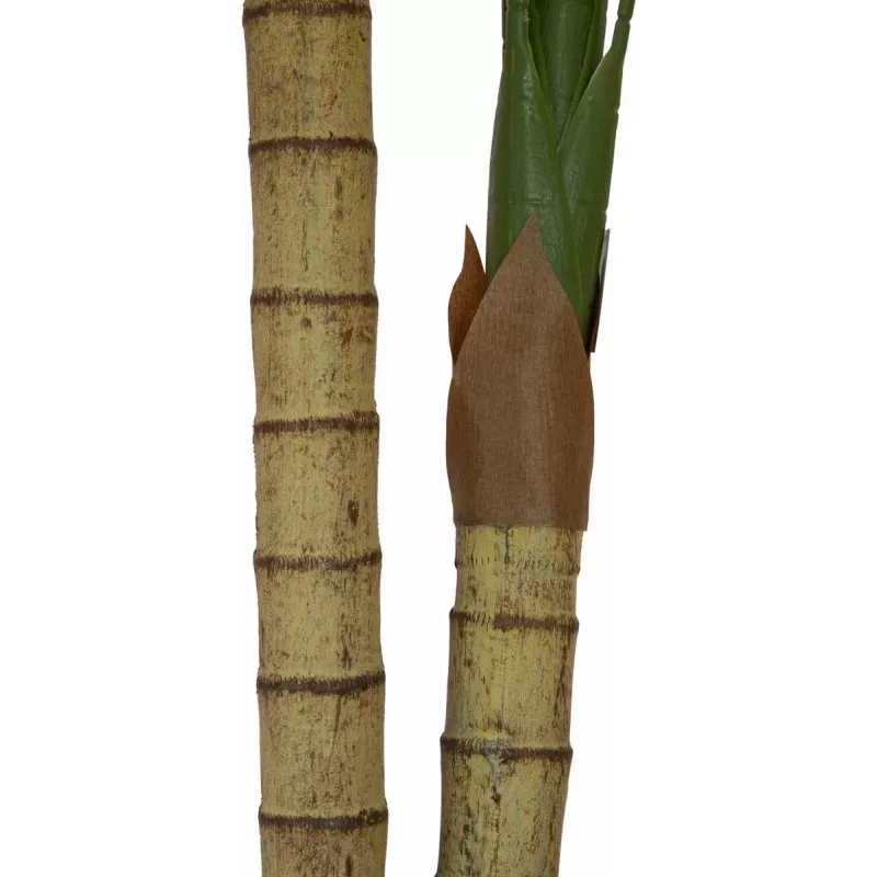 EUROPALMS Palmera areca, de 2 troncos, planta artificial, 120 cm (82509410)