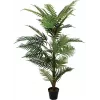 EUROPALMS Palmera areca planta artificial, 150 cm 82509414