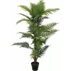 EUROPALMS Palmera areca planta artificial, 150 cm 82509414