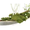 EUROPALMS Bola decorativa 3,5 cm, verde claro, brillante, 48 uds. 8350129X