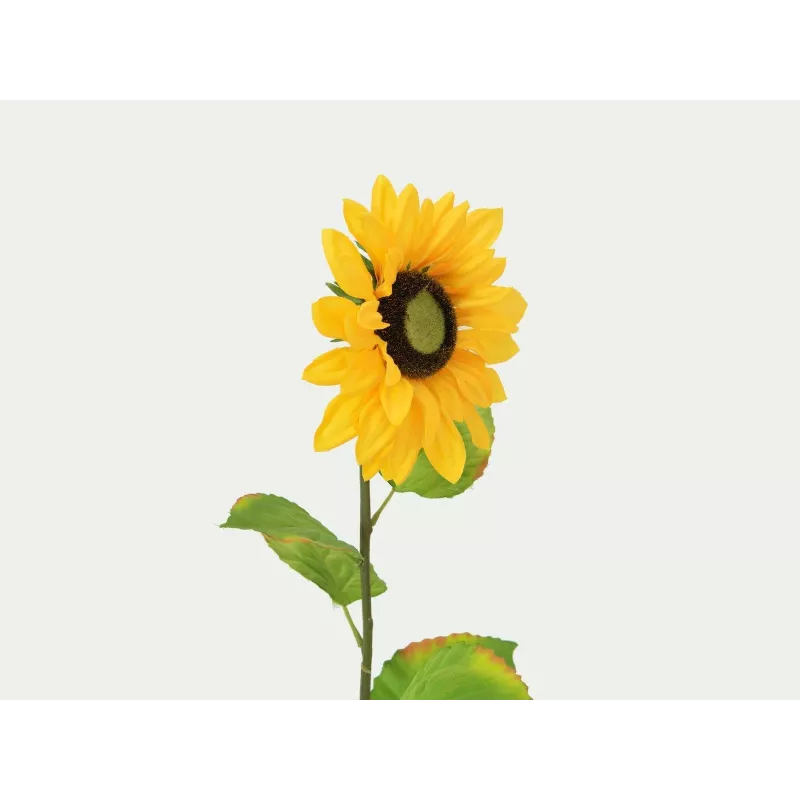 EUROPALMS girasol artificial, 70 cm 82522097