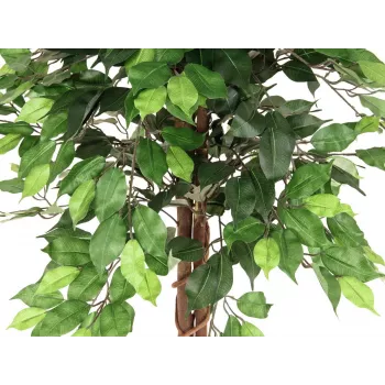 Planta artificial Ficus Benjamina multi-tronco EUROPALMS, 150 cm 82506125