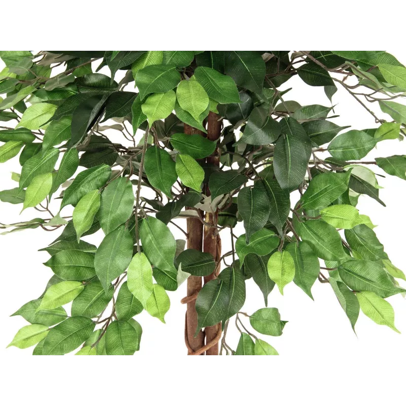 Planta artificial Ficus Benjamina multi-tronco EUROPALMS, 150 cm 82506125