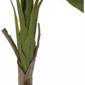 EUROPALMS platanero artificial, 145cm 82509504