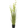 EUROPALMS planta artificial Pompom Grass, 122 cm, verde 82500136