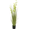 EUROPALMS planta artificial Pompom Grass, 122 cm, verde 82500136