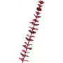EUROPALMS rama artificial de eucalipto cristal, burdeos, 81cm 82600203