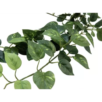 EUROPALMS Pothos Buschhecke Classic, artificial, 70cm (82502201)