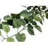 EUROPALMS Pothos Buschhecke Classic, artificial, 70cm (82502201)