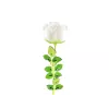 EUROPALMS Crystal Rose flor artificial, blanca, 81 cm, 12 unidades 82600208