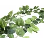 EUROPALMS Pothos Girlande Classic, artificial, 180cm 82503728