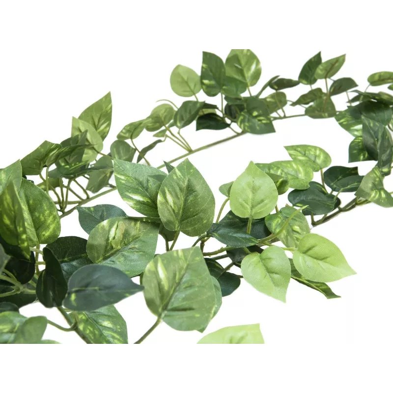 EUROPALMS Pothos Girlande Classic, artificial, 180cm 82503728