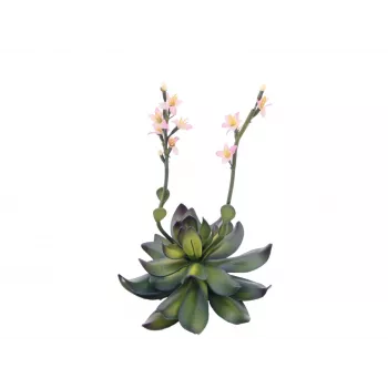 EUROPALMS Stone Rose (EVA) planta artificial, rosa, 32 cm 82530572