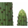 EUROPALMS cactus mexicano planta artificial, verde, 117 cm 82801071