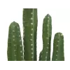 EUROPALMS cactus mexicano planta artificial, verde, 123 cm 82801072