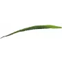 EUROPALMS hoja de aloe artificial (EVA), verde, 60 cm 82530581