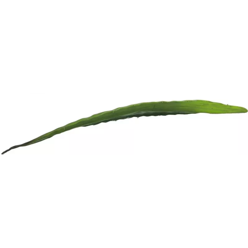 EUROPALMS hoja de aloe artificial (EVA), verde, 60 cm 82530581
