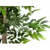 EUROPALMS Ficus Longifolia planta artificial, 165 cm 82506350