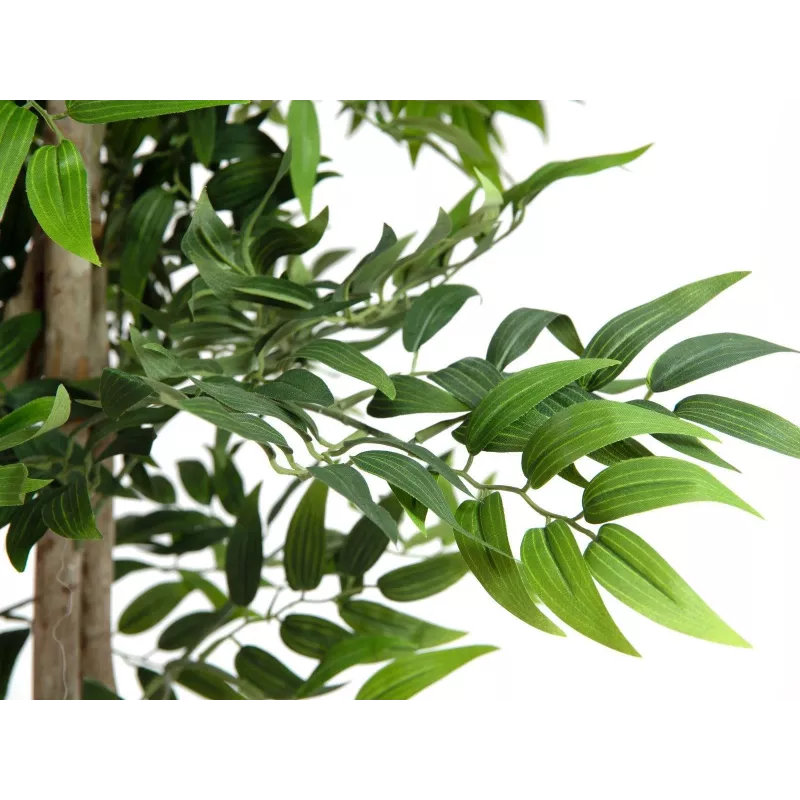 EUROPALMS Ficus Longifolia planta artificial, 165 cm 82506350