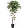 EUROPALMS Ficus Longifolia planta artificial, 165 cm 82506350
