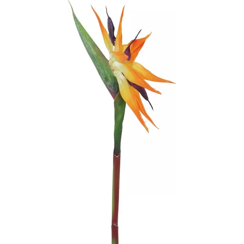 EUROPALMS flor de ave del paraíso artificial, naranja, 95 cm 82530559
