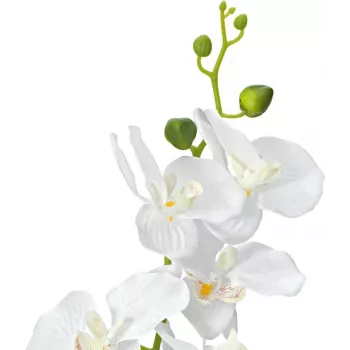 EUROPALMS orquídea planta artificial, blanca, 80 cm (82530362)
