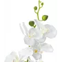 EUROPALMS orquídea planta artificial, blanca, 80 cm (82530362)