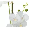 EUROPALMS orquídea planta artificial, blanca, 80 cm (82530362)