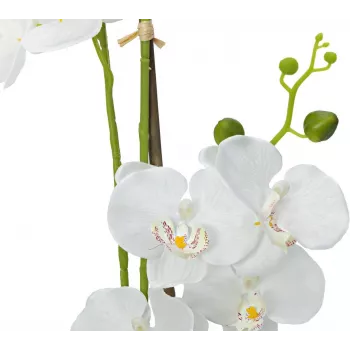 EUROPALMS orquídea planta artificial, blanca, 80 cm (82530362)