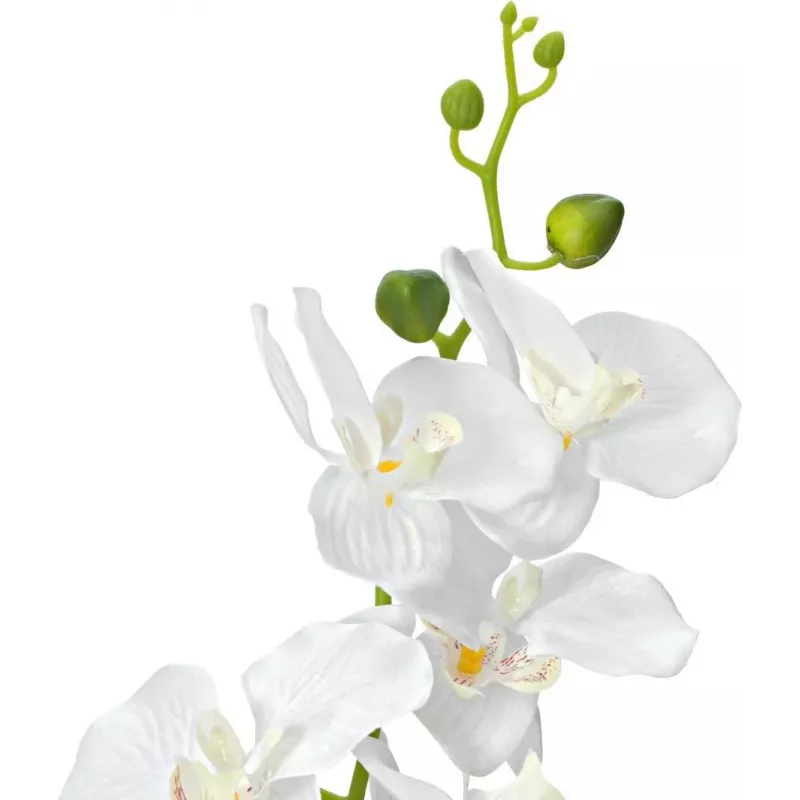 EUROPALMS orquídea planta artificial, blanca, 80 cm (82530362)