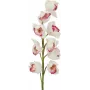 EUROPALMS rama de Cymbidium, artificial, blanco-rosa, 90 cm 82530312