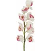 EUROPALMS rama de Cymbidium, artificial, blanco-rosa, 90 cm 82530312
