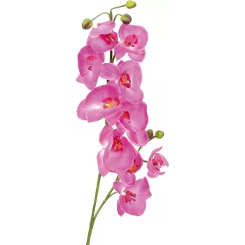EUROPALMS rama de orquídea artificial, lila, 100 cm 82530322