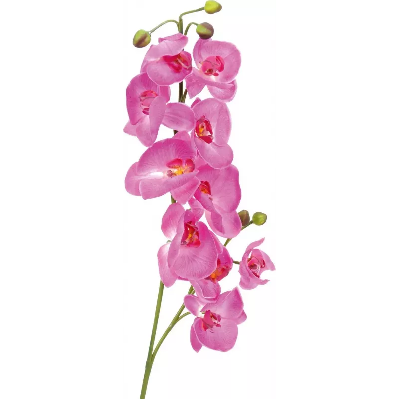 EUROPALMS rama de orquídea artificial, lila, 100 cm 82530322