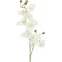 EUROPALMS rama de orquídea artificial, blanco crema, 100 cm (82530323)