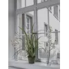 EUROPALMS rama de orquídea artificial, blanco crema, 100 cm (82530323)