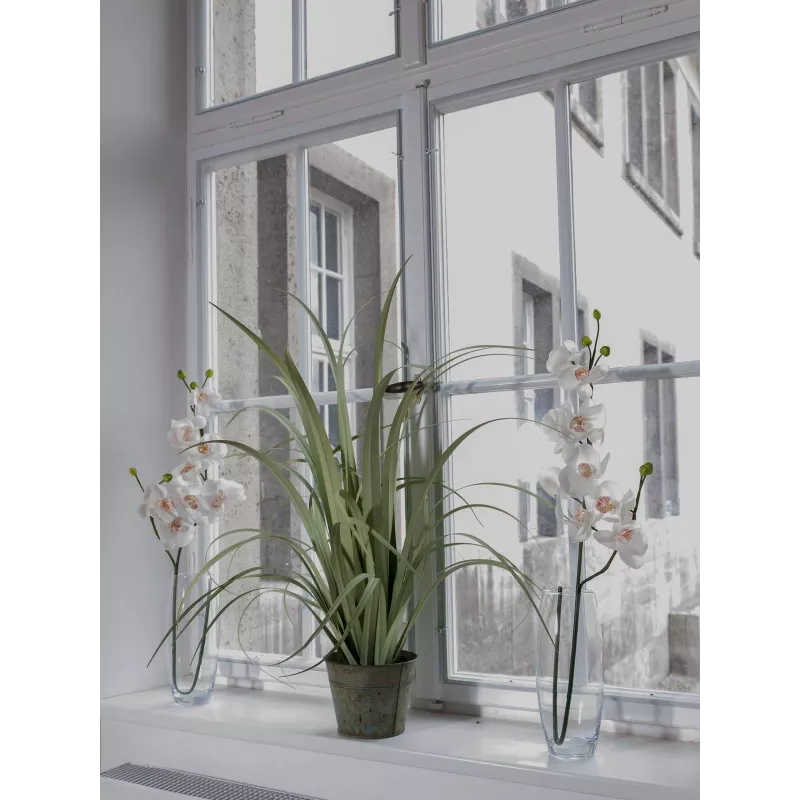 EUROPALMS rama de orquídea artificial, blanco crema, 100 cm (82530323)
