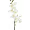 EUROPALMS rama de orquídea artificial, blanco crema, 100 cm (82530323)